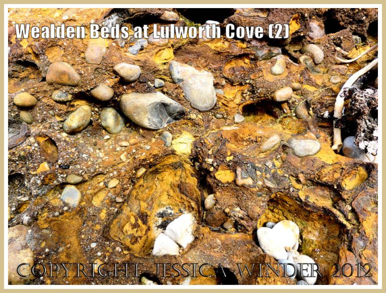 Wealden Beds at Lulworth Cove (2)