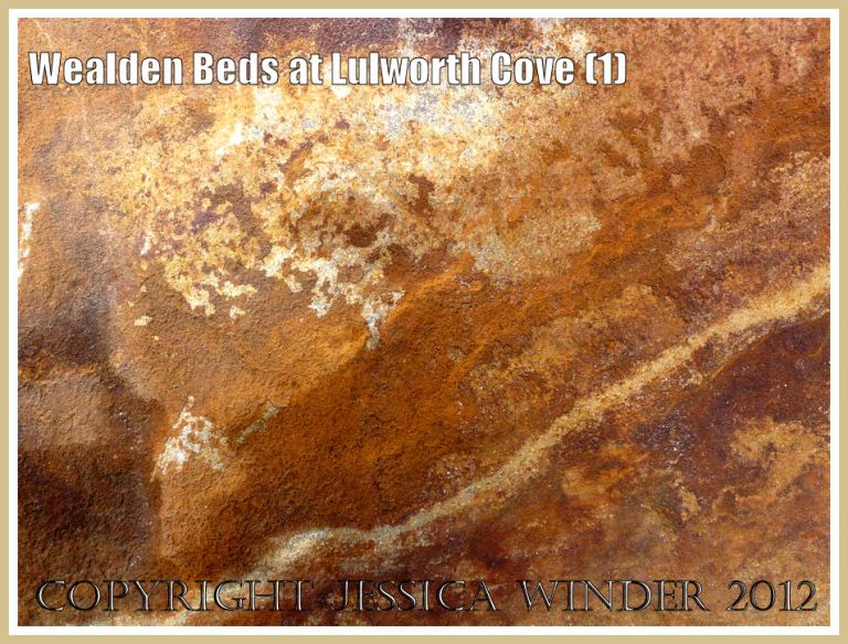 Wealden Beds at Lulworth Cove (1)