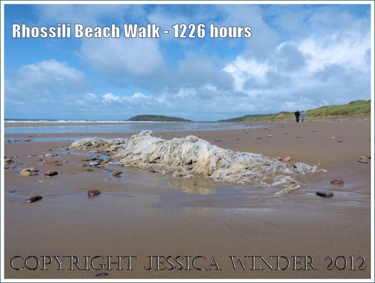 Rhossili Beach Walk - 1226 hours. Tangled lengths of polythene tubing from a bale washed ashore many years ago onto Rhossili Beach, Gower, South Wales, 22nd August 2012.