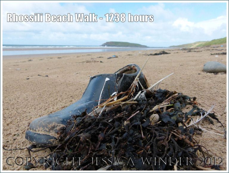 Rhossili Beach Walk - 1238 hours. Man's black slip-on shoe washed up as flotsam on the seaweed-strewn strandline of Rhossili Beach, Gower, South Wales, 22nd August 2012.