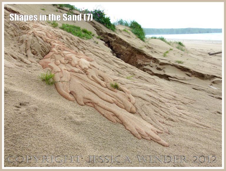 Shapes in the Sand (7) - Organic-looking natural shapes in the sand at Rhossili, Gower, South Wales, 19th July 2012. 
