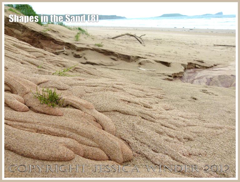Shapes in the Sand (8) - A context shot for the organic-looking natural shapes in the sand at Rhossili Beach, Gower, South Wales, 19th July 2012, showing Worms Head on the horizon. 