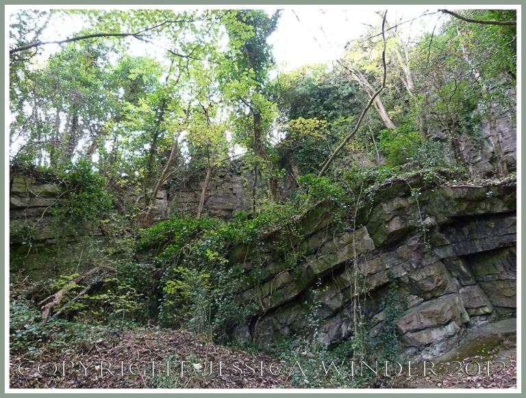 'Black Lias' in Clements Quarry 1 -  Exposure of 'black lias' strata, (more correctly named Oystermouth Formation and formerly known as Upper Limestone Shales) from the Carboniferous limestone rocks in the Gower Peninsula, near Swansea, South Wales. Site of the old Clements Quarry where Mumbles Marble was extracted. Now the long-term car park in Oystermouth. P1270583aBlog1