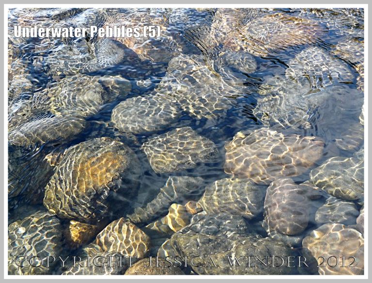 Underwater Pebbles (5) - Pebbles viewed through shallow river water with patterns of reflected sunlight from the water ripples, photographed on the beach in Neptune State Park, south of Yachats, Oregon, U.S.A.  