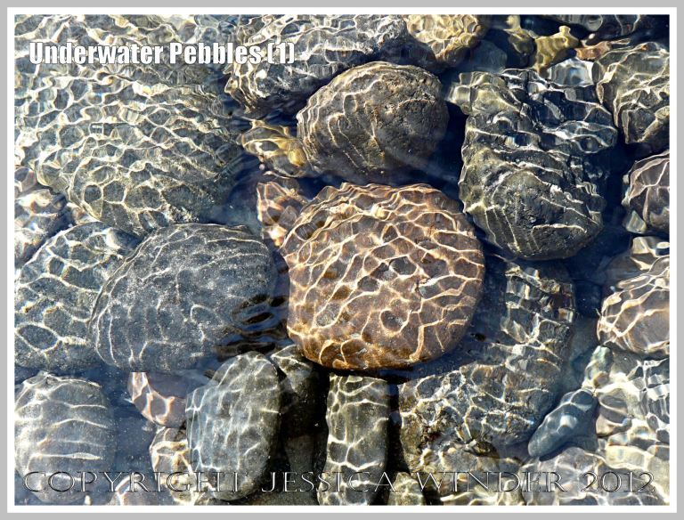 Underwater Pebbles (1) - Pebbles viewed through shallow river water with patterns of reflected sunlight from the water ripples, photographed in Neptune State Park, south of Yachats, Oregon, U.S.A. 