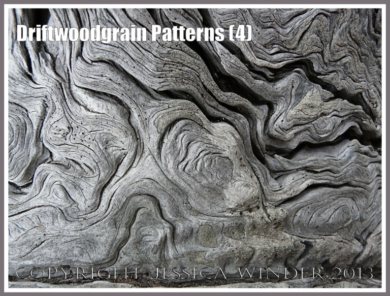 Driftwoodgrain Patterns (4) - Natural patterns of swirls and grooves in weathered driftwood washed up on an Oregon Coast beach.