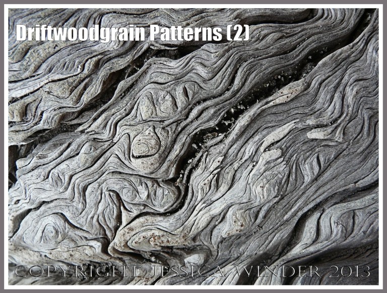 Driftwoodgrain Patterns (2) - Natural patterns of swirls and grooves in weathered driftwood washed up on an Oregon Coast beach.