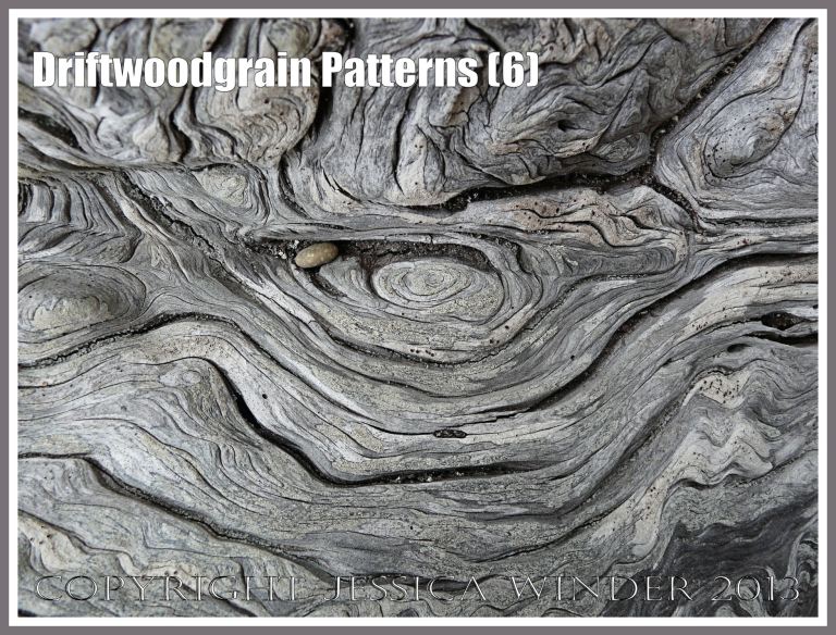 Driftwoodgrain Patterns (6) - Natural patterns of swirls and grooves in weathered driftwood washed up on an Oregon Coast beach.