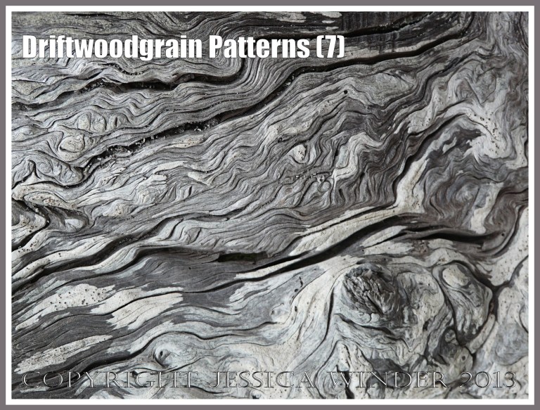 Driftwoodgrain Patterns (7) - Wood texture - natural patterns of swirls and grooves in weathered driftwood washed up on an Oregon Coast beach.