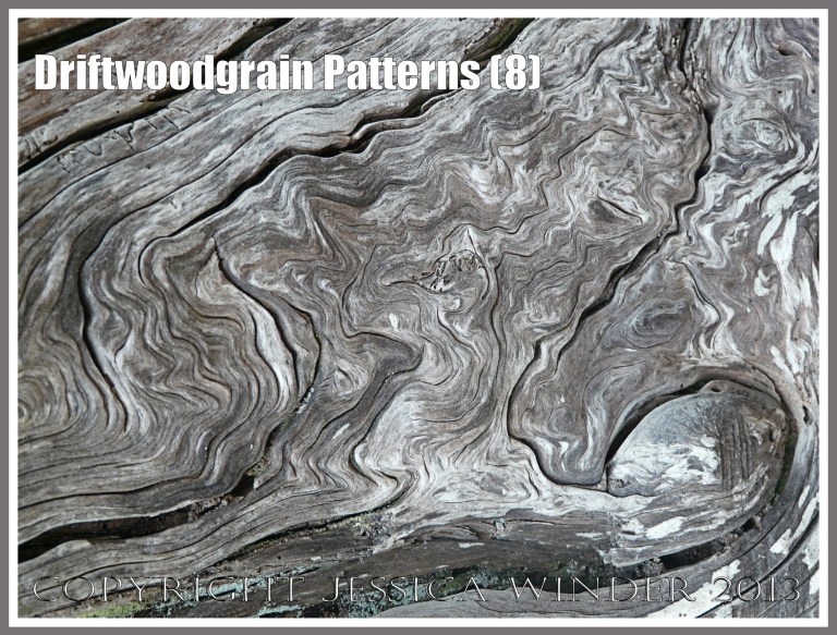 Driftwoodgrain Patterns (8) - Wood texture - natural patterns of swirls and grooves in weathered driftwood washed up on an Oregon Coast beach.