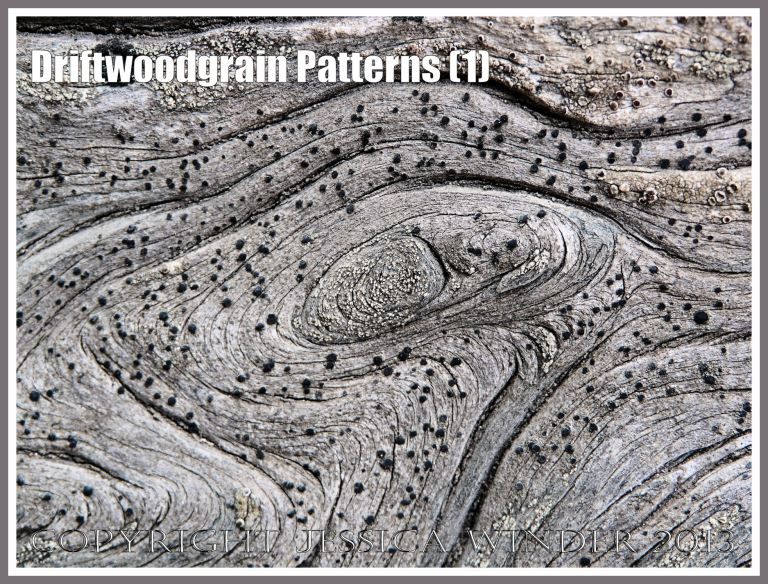 Driftwoodgrain Patterns (1) - Natural patterns in weathered driftwood washed up on an Oregon coast beach. The small black dots are lichen.