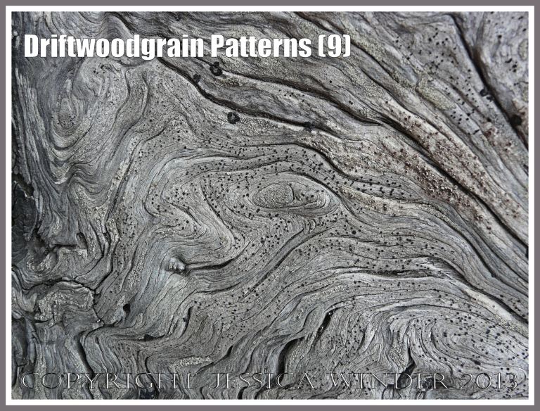 Driftwoodgrain Patterns (9) - Wood texture - natural patterns of swirls and grooves in weathered driftwood washed up on an Oregon Coast beach.