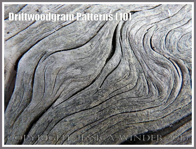 Driftwoodgrain Patterns (10) - Wood texture - natural patterns of swirls and grooves in weathered driftwood washed up on an Oregon Coast beach.