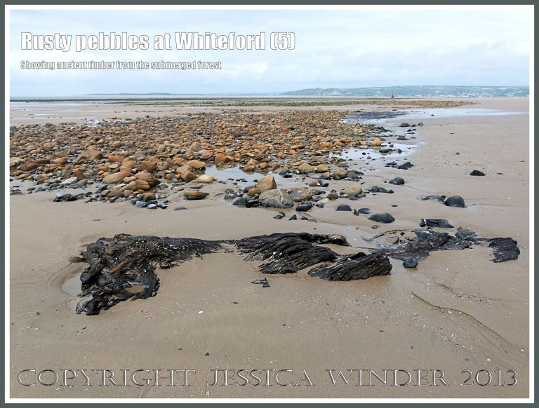 Rusty Pebbles at Whiteford (5) - View looking across towards Whiteford Lighthouse showing pebbles on the beach at Whiteford Sands, Gower, South Wales, some of which are covered with a rusty deposit thought to derive from the break up of an iron-pan associated with a Holocene peat layer. Ancient waterlogged wood from the submerged forest is also visible.