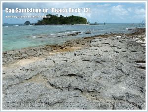 Cay Sandstone or "Beach Rock" (3) - Layers of "Beach Rock" or Cay Sandstone recently formed by a natural cementation of coral and shell fragments in still shallow water at the edge of Normanby Island, one of the Frankland Islands, Queensland, Australia.