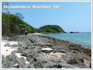 Cay Sandstone or "Beach Rock" (14) - Eroded surface of massive form of "Beach Rock" on the shore at Normanby Island, one of the Frankland Islands group, Queensland, Australia.