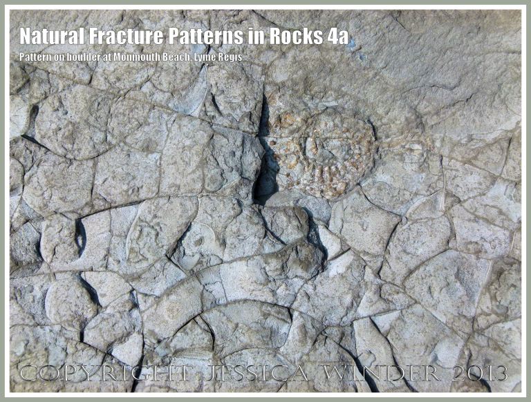 Natural Fracture Patterns in Rocks 4a - Close up photograph of natural patterns of cracks in a boulder on the shore at Monmouth Beach, Lyme Regis, Dorset, UK on the Jurassic Coast.