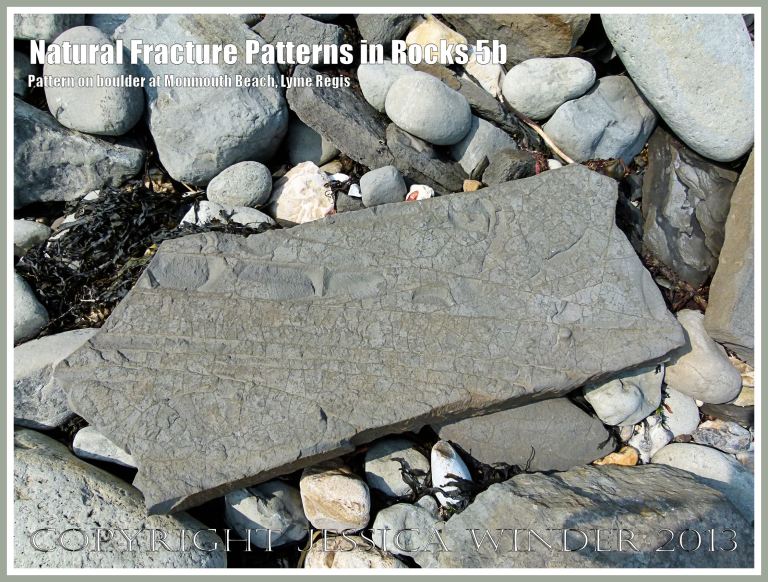 Natural Fracture Patterns in Rocks 5b - Boulder with a natural pattern of cracks on the shore at Monmouth Beach, Lyme Regis, Dorset, UK on the Jurassic Coast.