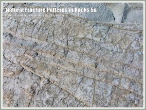 Natural Fracture Patterns in Rocks 5a - Close up photograph of natural patterns of cracks in a boulder on the shore at Monmouth Beach, Lyme Regis, Dorset, UK on the Jurassic Coast.