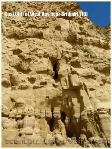 East Cliff at West Bay near Bridport (10) - Sometimes the vertical cambering joints in the cliff face are widened by erosion to form caves.