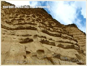 East Cliff at West Bay near Bridport (3) - The cliff is made of sandstone of the Bridport Sand Formation which is an Upper Lias rock of the Jurassic period. Wind-blown sand has weathered the rock to leave bands of harder calcareous sandstone protruding like jagged ledges. The softer sandstone layers become progressively thinner towards the top of the cliff.