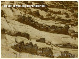 East Cliff at West Bay near Bridport (4) - The parallel ledges of harder carbonate-cemented sandstone beds have a distinctive honeycomb texture contrasting with the smoother surface of the softer sandstone beds with which they alternate.