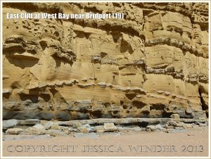 East Cliff at West Bay near Bridport (19) - In places at the foot of the cliff there are anomalies in the hard beds so that the normal level horizontal strata are replaced by great length of interrupted curves (both upwards and downwards). These may be the result of seabed scouring associated with major storm events just after the layer had been deposited but when cementation of the layer had already taken place.