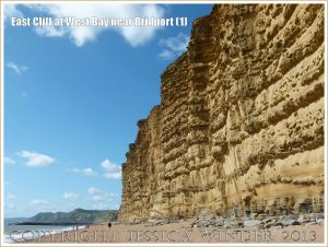 East Cliff at West Bay near Bridport (1) - Towering golden yellow cliffs of the Bridport Sand Formation on the Jurassic Coast in Dorset, UK.