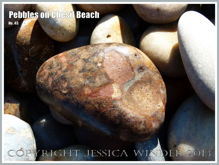 Patterned pebble on the beach