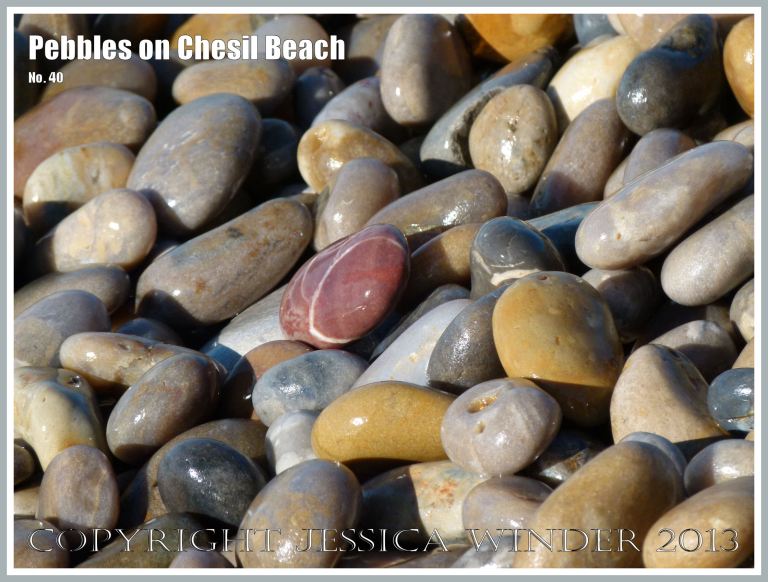 Coloured and patterned pebbles on the beach