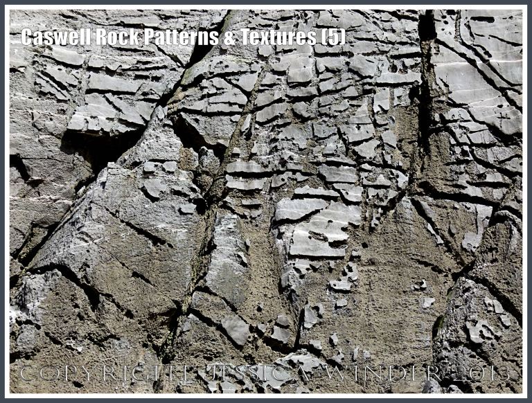 Caswell Rock Patterns & Textures  (5) - Natural patterns in Carboniferous limestone cliff strata, showing texture of stone being dissolved by acid rain, at Caswell Bay, Gower, South Wales. 