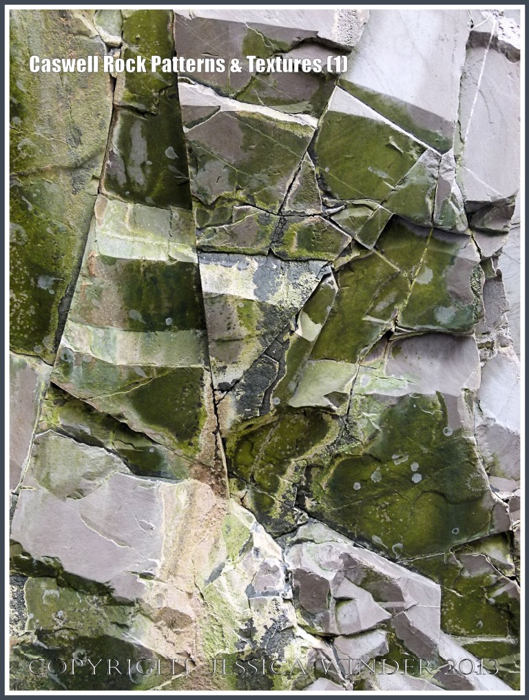 Caswell Rock Patterns & Textures (1) - Natural patterns in Carboniferous cliff strata, partially coated with a green bio-film, at Caswell Bay, Gower, South Wales.