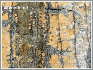 Rock surface texture, colour, and pattern as natural abstract art
