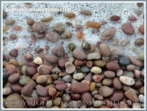 Coloured pebbles washed by the sea