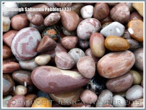Wet pebbles with different colours and patterns on the seashore
