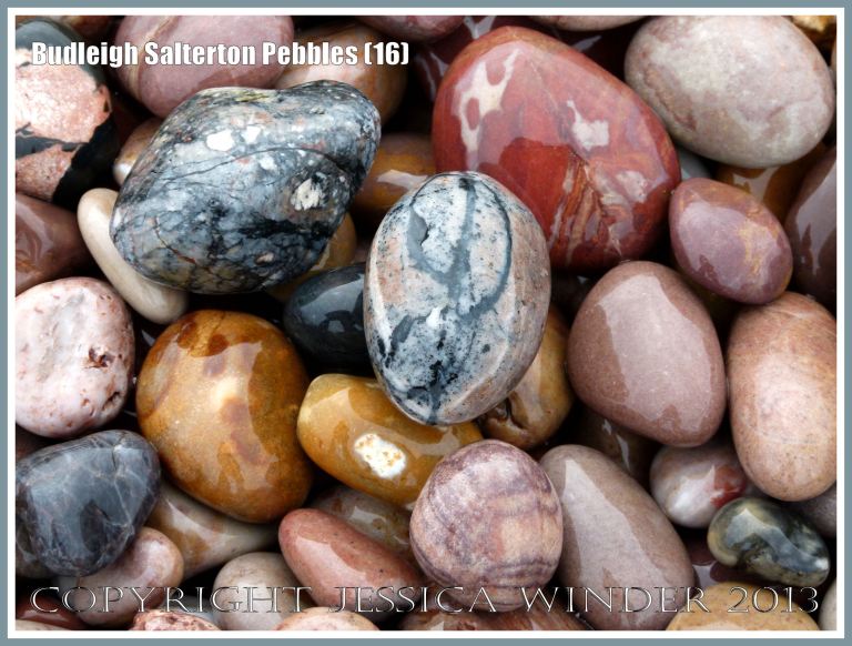 Wet pebbles with different colours and patterns on the seashore