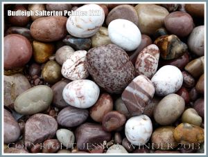Wet pebbles with different colours and patterns on the seashore