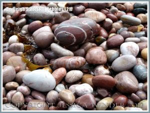 Wet pebbles with different colours and patterns on the seashore