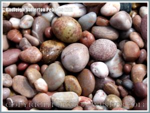 Wet pebbles with different colours and patterns on the seashore