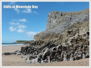 Cliffs of Carboniferous High Tor Limestone with erosion features