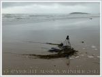 Umbrella washed up with seaweed as flotsam on the beach
