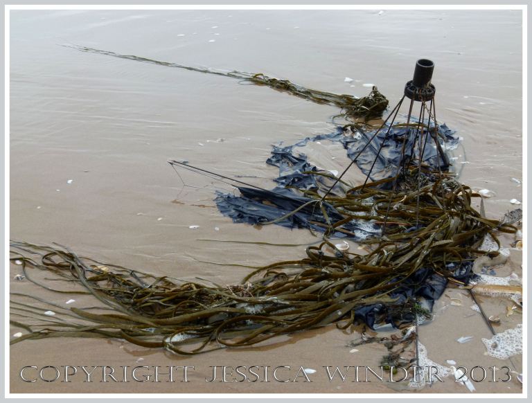 Umbrella washed up with seaweed as flotsam on the beach