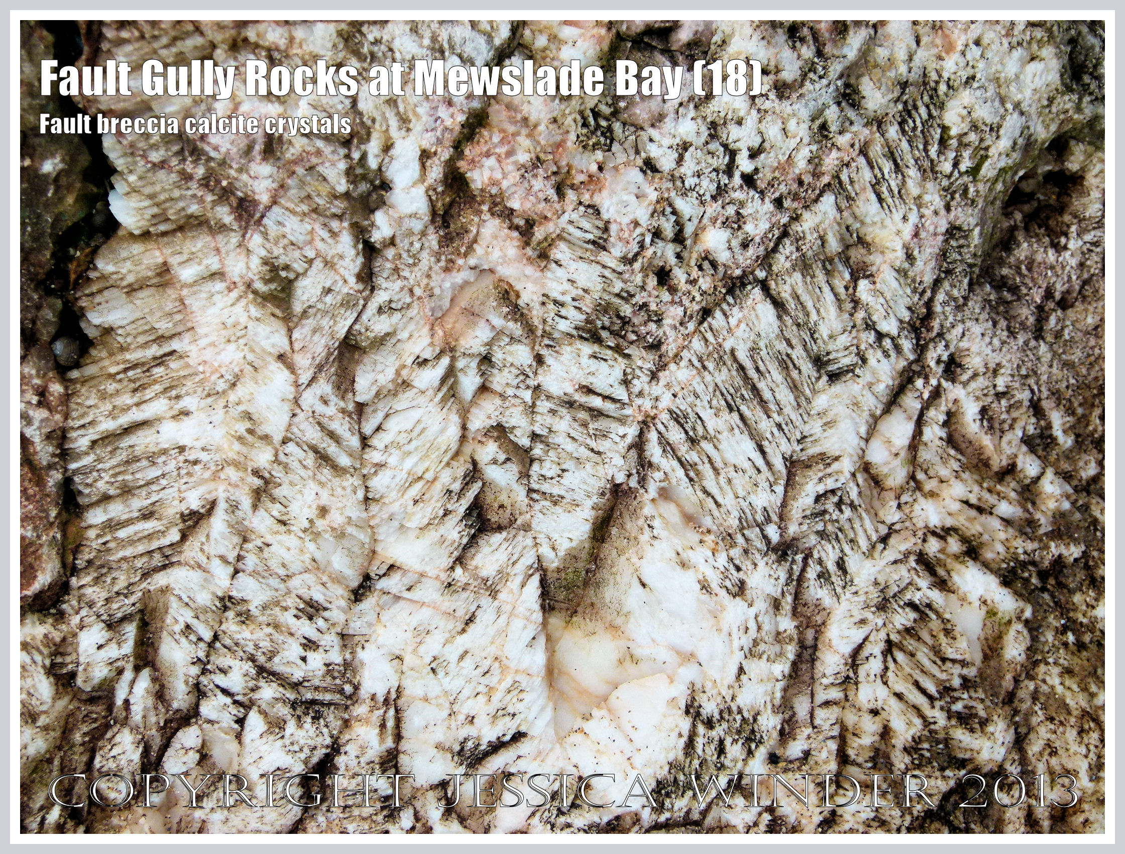 Fault Gully Rocks at Mewslade Bay – Jessica's Nature Blog