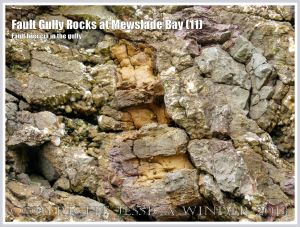Fault breccia at Mewslade bay