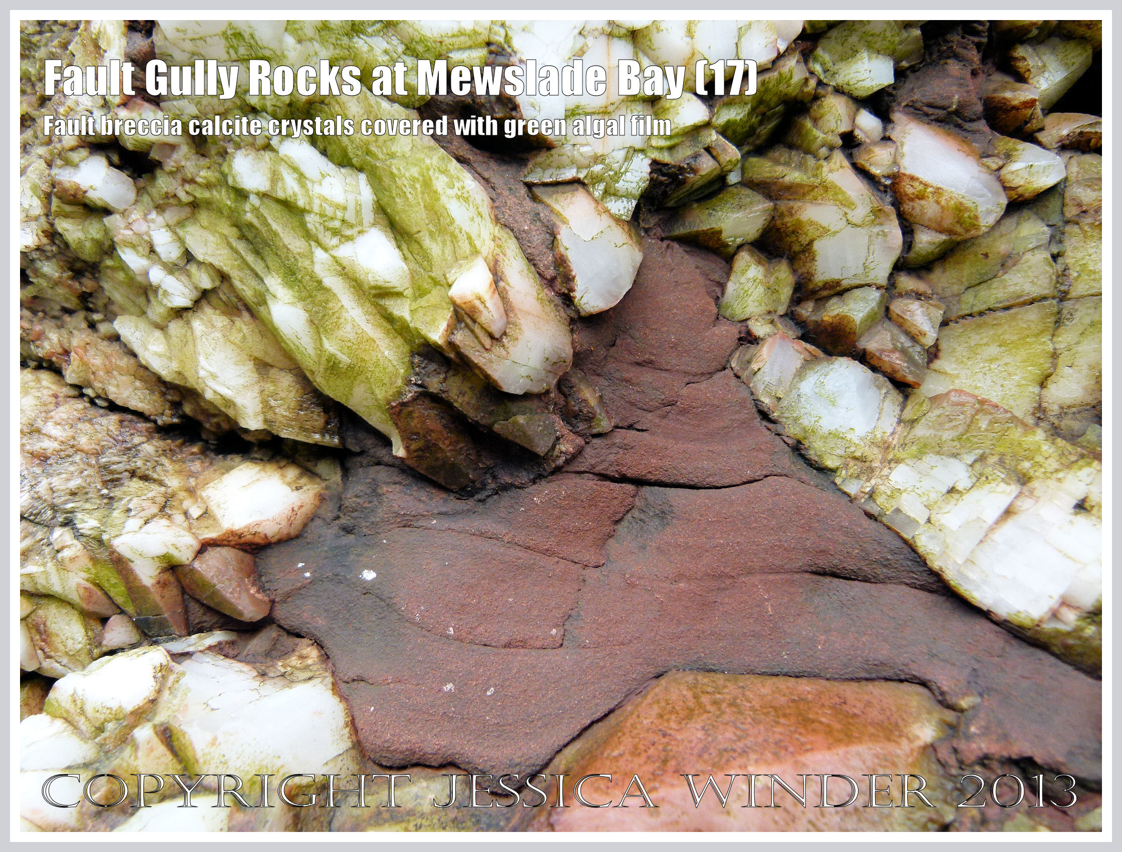 Fault Gully Rocks at Mewslade Bay – Jessica's Nature Blog