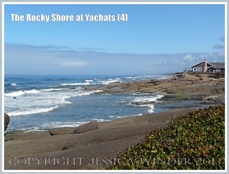 View looking north along the rocky shore at Yachats, Oregon.