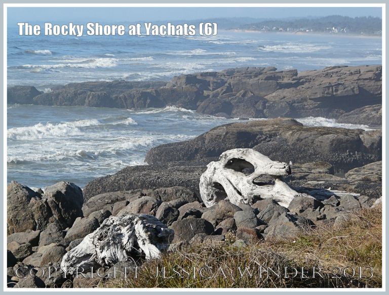 Driftwood on the rocky shore at Yachats 