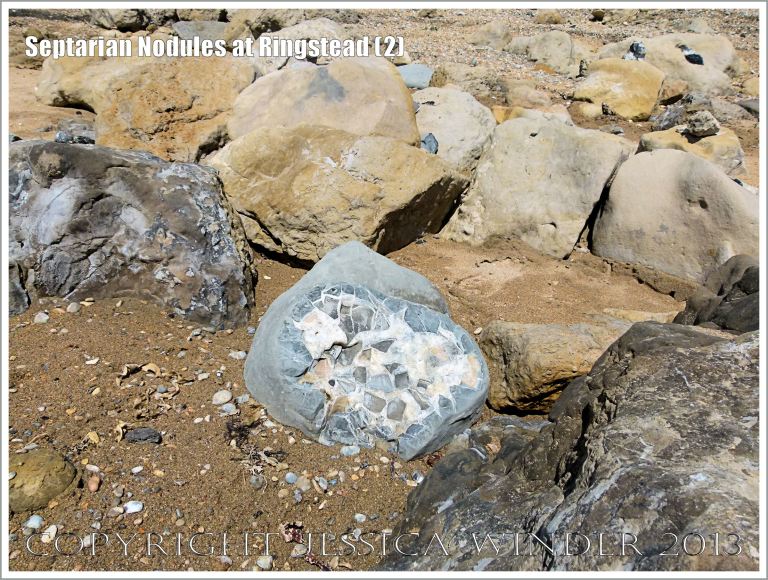 Septarian Nodules at Ringstead (2)
