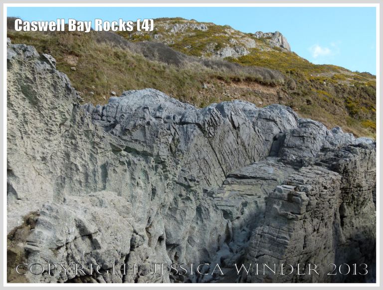 Carboniferous Limestone formations at Caswell Bay, Gower, South Wales, UK.
