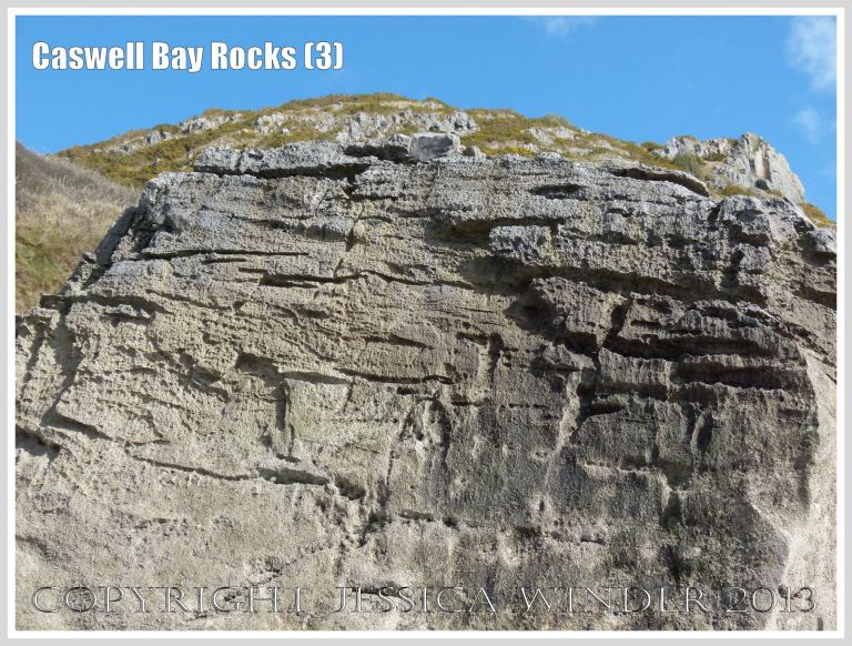 Carboniferous Limestone formations at Caswell Bay, Gower, South Wales, UK.